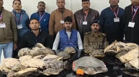 Railway Police Rescue: 76 Live Turtles Found on Netaji Express train Gaya Railway station, Northern India