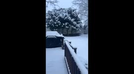 Heavy snow piles up quickly across neighborhood in New York, USA