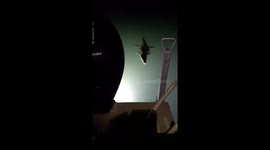 Crocodile drifts near yacht amid extreme tides in Kimberley, Australia