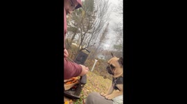 PSA: Never Give Your Bulldog a Marshmallow