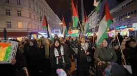 Berlin protesters hold torchlight march in solidarity with Palestinians