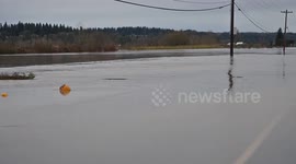 Pumpkins drift across flooded road during storm in Washington