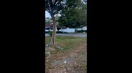 Thai Buddhist monks swap robes for army fatigues as they join war effort