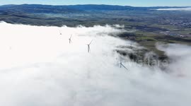 Tule fog blankets California’s Central Valley, creating mesmerizing scenes