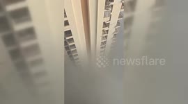 India: Toxic Smog Chokes New Delhi as Pollution Levels Soar 30 Times Above Normal