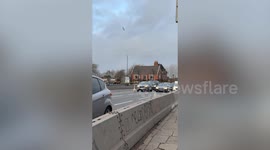 Swan brings traffic to a halt as it strolls down busy road