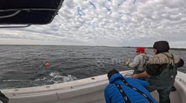 Trailblazing great white shark ventures deep into new area surprising experts