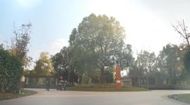 China: Chinese scientists achieve breakthrough in invasive brain-computer interface trial