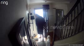 Man gets cheeky revenge on dog after lockout—Instagram clip hits 15.1K views