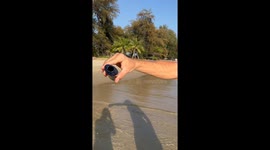 Crab Rescued From Plastic Bottle On Rayong Beach