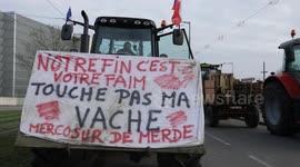 French farmers rally in Strasbourg to protest government