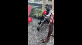 A raw look at island survival: Teens hunt and cook native animals—Instagram clip hits 1M views