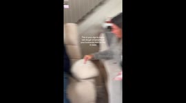 “Adult” salt‑dough ornament stuns the in‑laws—Instagram clip tops 15M views