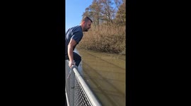 Man Rescues Canadian Goose Tangled in Rope