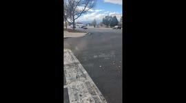 Police Chase Child Driving Allegedly Stolen Golf Cart