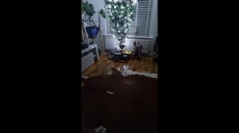 Upside-Down Christmas Tree