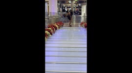 I was on my first cruise Freedom of the seas Royal Caribbean. I had just left the night club and wanted. pizza. I said I wanted to walk the runway and I ended up falling .