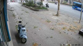 Cyclist injured when tree branch snaps and falls onto him