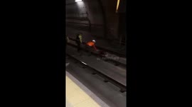 Dog chasing cat on metro tracks sparks train delays in Ecuador