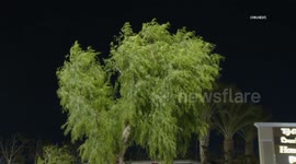 US, Los Angeles: Granada Hills Evening Wind
