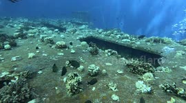 Salem Express ferry lies submerged in Red Sea