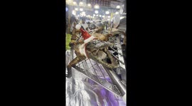 CHRISTMAS IN THAILAND BE LIKE