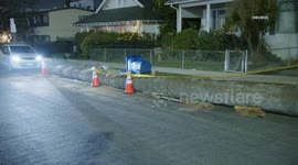 US, Los Angeles: Hollywood Palm Tree Falls Down