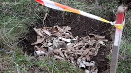 Ukraine uses robotic system to clear mines from Mykolaiv farmland