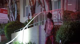 US, Los Angeles: Northridge Two Cats Die In Unit Fire