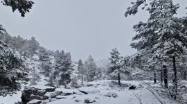 Snowfall Covers Forested Area in the Filabres Mountains