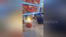 Panic in Gaya Police Station: Venomous Snake on the Loose!