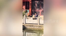 Cheeky monkey snatches snacks from unsuspecting man inside temple