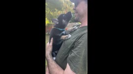 Wife surprises grieving husband with rescue puppy—Instagram clip tops 10M views