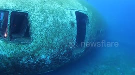 Artificial Airplane Wreck In Aqaba Waters
