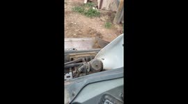 Raccoon Rides Shotgun in Skid Steer