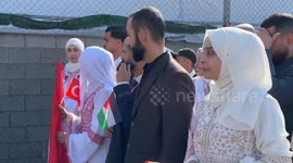 203 Palestinian couples tie knot in collective Gaza wedding