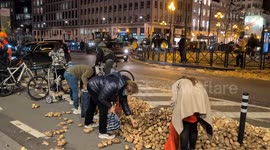 Residents collect potatoes spilled during farmers' protest in Brussels