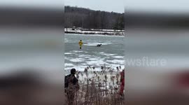 US: Deer Rescued From Deadly Ice Trap On Cayuga Inlet