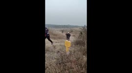 Villager trampled to death while 'taking a selfie with elephant' in India