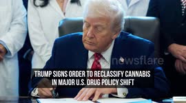 Trump Signs Order to Reclassify Cannabis in Major U.S. Drug Policy Shift