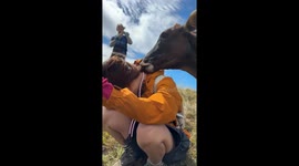 Cow terrorises hiker as she tries to pose for pictures on hillside