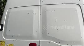 Village plagued by blood-sucking fly invasion in middle of winter