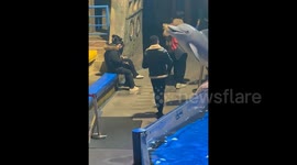 Rebellious Smoker Gets Hilarious Comeuppance: White Whale Enforces No-Smoking Rule!