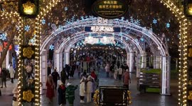 China: UN Tourism recognizes Harbin for leadership in ice and snow tourism