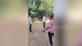 Elderly monk killed by wild elephant during alms round in northern Thailand province