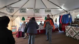 Christmas Tree Shopping at Boyd's Christmas Tree Farm in Western North Carolina