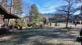 Christmas Tree Shopping at Boyd's Christmas Tree Farm in Western North Carolina