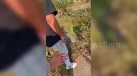 India: Python rescued from roadside drain in forest, rescuers free trapped reptile, safely release it