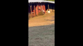 The Grinch Chases My Son