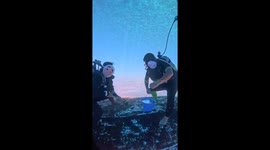 Ship Bottom Cleaning in Masks